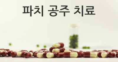 파치 공주 치료