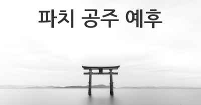 파치 공주 예후