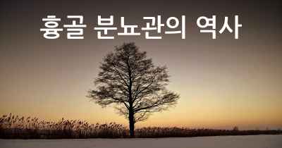 흉골 분뇨관의 역사