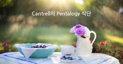 Cantrell의 Pentalogy 식단