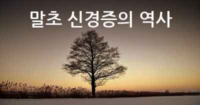 말초 신경증의 역사