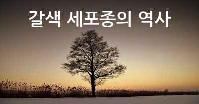 갈색 세포종의 역사