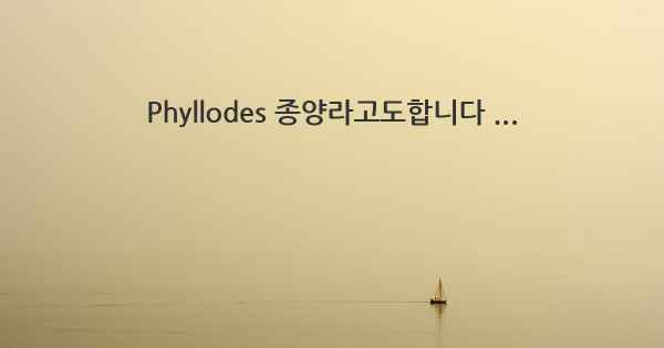 Phyllodes 종양라고도합니다 ...