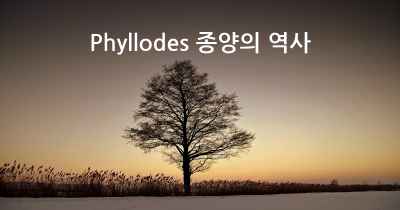 Phyllodes 종양의 역사