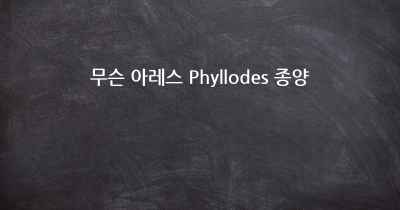 무슨 아레스 Phyllodes 종양