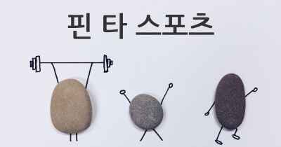 핀 타 스포츠