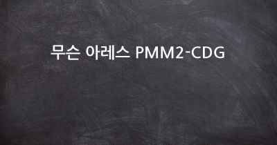 무슨 아레스 PMM2-CDG