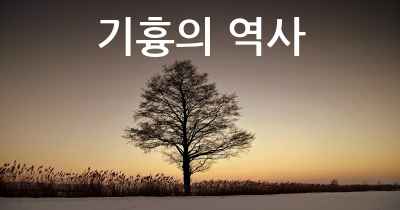 기흉의 역사