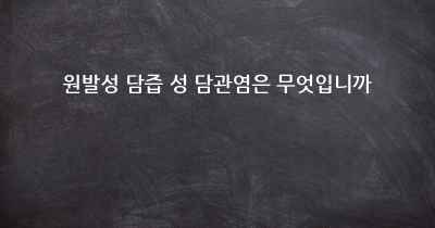 원발성 담즙 성 담관염은 무엇입니까