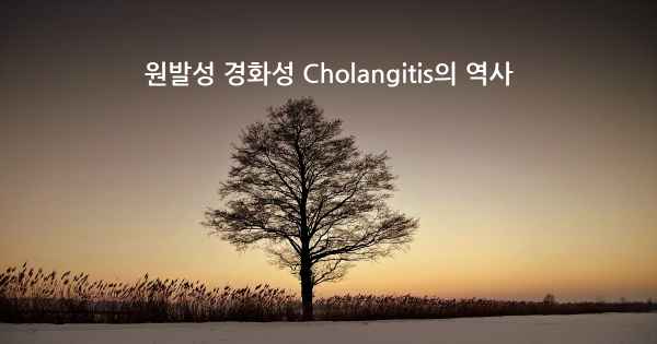 원발성 경화성 Cholangitis의 역사