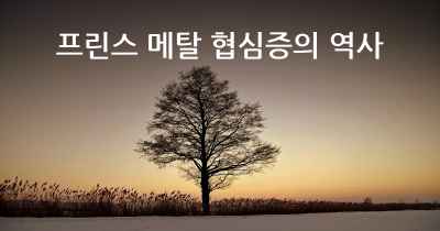 프린스 메탈 협심증의 역사