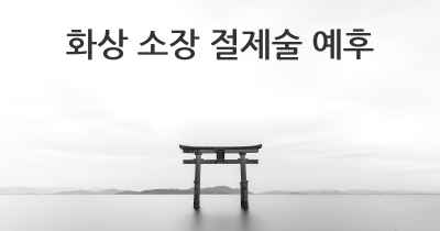 화상 소장 절제술 예후