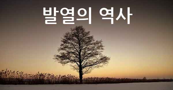 발열의 역사