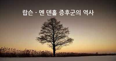 랍슨 - 멘 덴홀 증후군의 역사