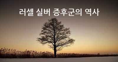 러셀 실버 증후군의 역사