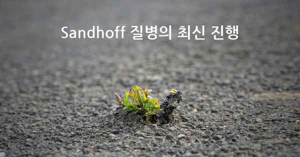 Sandhoff 질병의 최신 진행