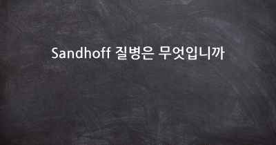 Sandhoff 질병은 무엇입니까