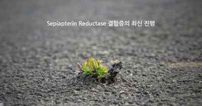 Sepiapterin Reductase 결핍증의 최신 진행