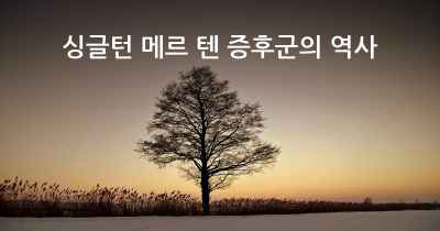 싱글턴 메르 텐 증후군의 역사