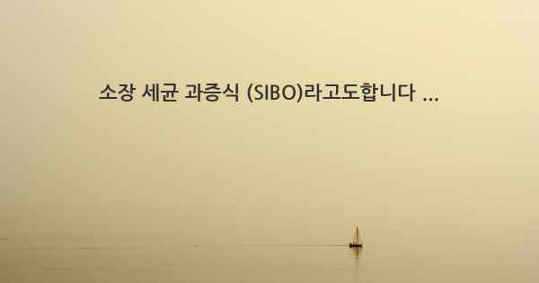 소장 세균 과증식 (SIBO)라고도합니다 ...