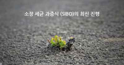 소장 세균 과증식 (SIBO)의 최신 진행