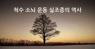 척수 소뇌 운동 실조증의 역사