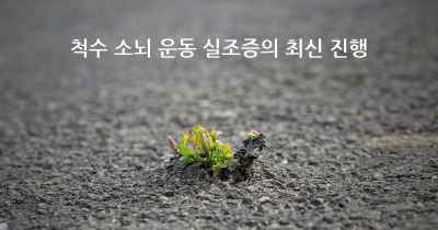 척수 소뇌 운동 실조증의 최신 진행