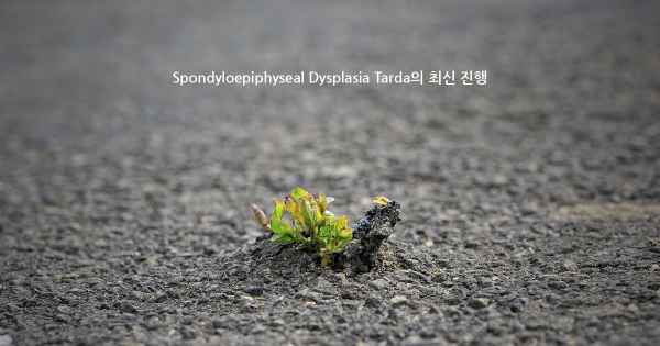 Spondyloepiphyseal Dysplasia Tarda의 최신 진행