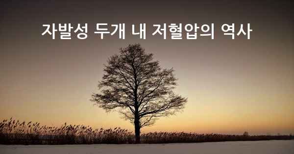 자발성 두개 내 저혈압의 역사