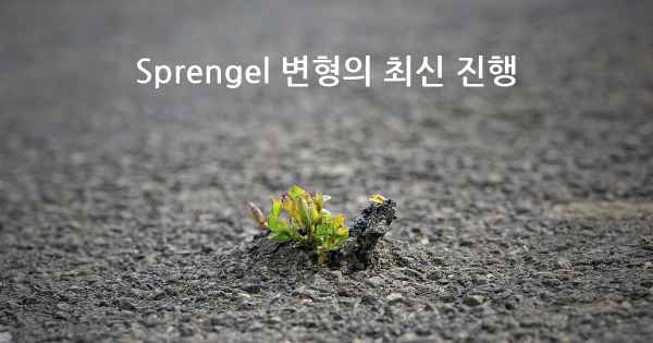 Sprengel 변형의 최신 진행