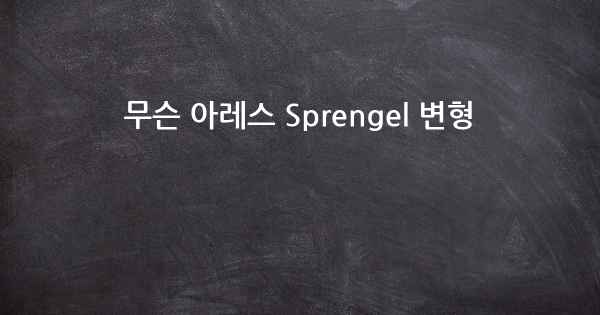 무슨 아레스 Sprengel 변형