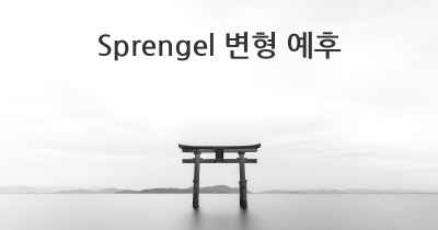 Sprengel 변형 예후