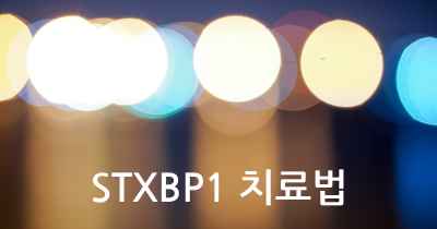 STXBP1 치료법