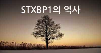 STXBP1의 역사