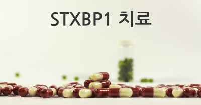 STXBP1 치료