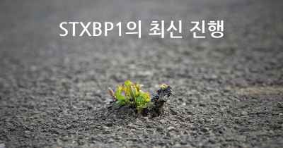 STXBP1의 최신 진행