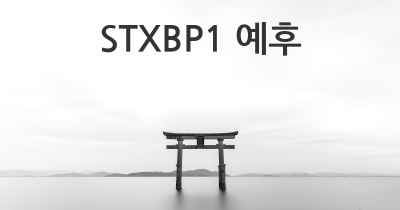 STXBP1 예후