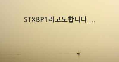 STXBP1라고도합니다 ...