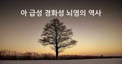 아 급성 경화성 뇌염의 역사