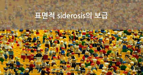 표면적 siderosis의 보급