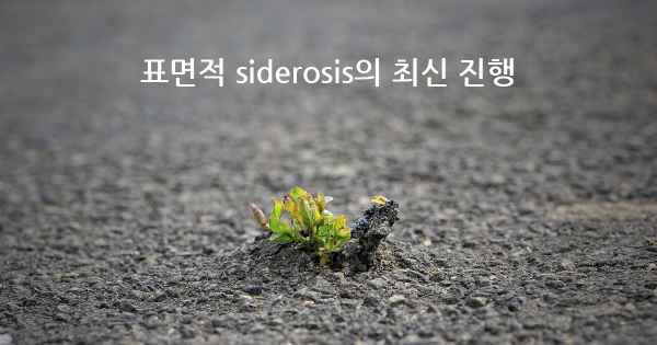 표면적 siderosis의 최신 진행