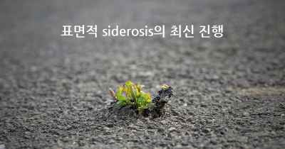 표면적 siderosis의 최신 진행