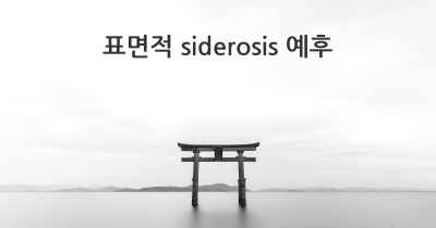 표면적 siderosis 예후