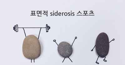표면적 siderosis 스포츠