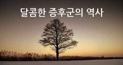 달콤한 증후군의 역사