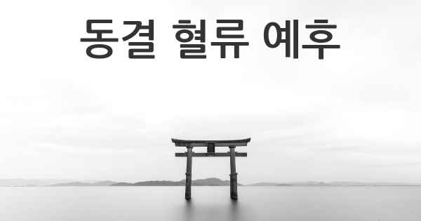 동결 혈류 예후