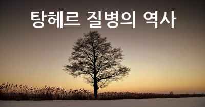 탕헤르 질병의 역사