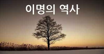 이명의 역사