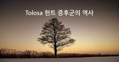 Tolosa 헌트 증후군의 역사