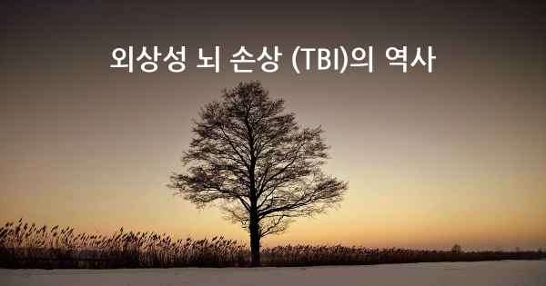 외상성 뇌 손상 (TBI)의 역사